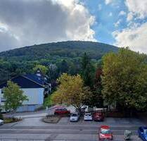 Knuffiges, sehr gepflegtes, teilmöbliertes Balkon-Apartment mit Lift, provisionsfrei für Erwerber! - Bad Harzburg