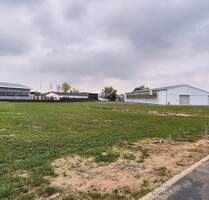 Neuer Unternehmensstandort gesucht? Attraktives Gewerbegrundstück mit sehr guter Verkehrsanbindung in zentraler Lage von Stralsund zu verkaufen