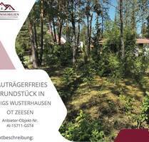 Bauen Sie nicht nur ein Haus, sondern ein Zuhause - 680 qm in Zeesen warten auf Ihre Ideen! - Königs Wusterhausen OT Zeesen