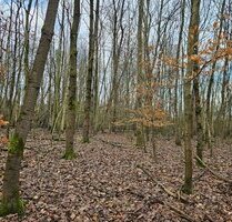 Großes Land zum kleinen Preis - 97.944,00 EUR Kaufpreis, ca.  0,00 m² in Hagen (PLZ: 58093) Hochschulviertel
