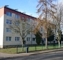 Wohnen auf dem Lande - 335,00 EUR Kaltmiete, ca.  48,00 m² Wohnfläche in Brunn (PLZ: 17039) Roggenhagen
