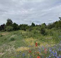 Bauland im Mischgebiet ca. 5.800 m² Hohe Börde OT Niederndodeleben