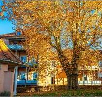 Altbauflair und Lebensqualität! Schicke 4-Zimmer-ETW mit Balkon, Garage und Stellplatz - Achern
