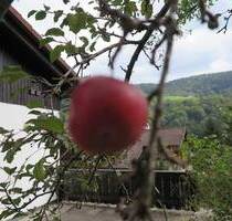 Bezahlbares Häuschen durch Eigenleistung - Marktschellenberg