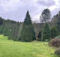 Idyllische 2-Zimmer-Wohnung in grüner und ruhiger Lage von Amtsberg