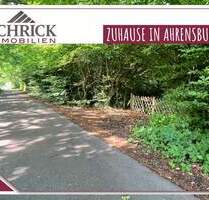 Familienfreundlich, naturnah, stadtnah ... Ihr Platz für neue Wohnideen in Feldrandlage! - AHRENSBURG - WALDGUT HAGEN