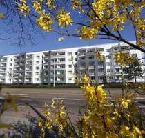 *Ich möchte angemietet werden* - 500,00 EUR Kaltmiete, ca.  66,00 m² Wohnfläche in Dessau-Roßlau (PLZ: 06842) Innenstadt