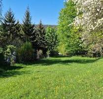 •••1360 m² Baugrundstück mit Altbestand in ruhiger Lage + 2454 m² Freizeitgrundstück••• - Jena Jenapriessnitz