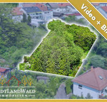 Viel Platz und Fernblick - Baugrundstück mit Option auf Doppelbauplatz in Lemberg (Pfalz)