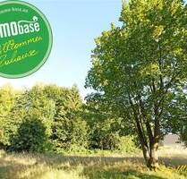 Die Basis für Ihr Zuhause! - 85.360,00 EUR Kaufpreis, ca.  0,00 m² in Hainichen (PLZ: 09661)