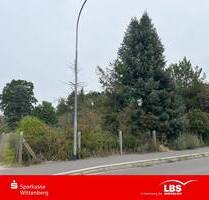 Grundstück mit Flusszugang - 45.000,00&nbsp;EUR Kaufpreis, ca.&nbsp; 0,00&nbsp;m&sup2; in Zahna-Elster (PLZ: 06895) Mühlanger