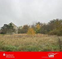 Ihr Baugrundstück mit Ruhe. - 50.000,00 EUR Kaufpreis, ca.  0,00 m² in Bad Schmiedeberg (PLZ: 06905) Pretzsch