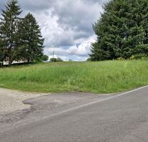 Dieses relativ ruhig gelegene Baugrundstück liegt an einer Verbindungsstraße zwischen 2 Orten, leichte Südhanglage - Prüm - Weinsfeld Niederprüm