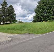 Dieses relativ ruhig gelegene Baugrundstück liegt an einer Verbindungsstraße zwischen 2 Orten, leichte Südhanglage - Prüm - Weinsfeld Niederprüm