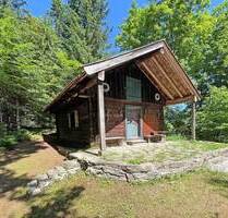 Im Bieterverfahren: Waldgrundstück ca. 1,6 ha mit uriger Jagdhütte in Alleinlage im Naturschutzgebiet Murnauer Moos - Murnau am Staffelsee