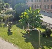 2,5-Zimmer-Wohnung mit Einbauküche & Mietergarten – direkt am Stadtpark - Meerane