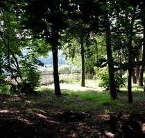 865m² Grundstück am ruhigen Waldrand | Ideal für Einfamilienhaus oder Doppelhaus - Münster Mecklenbeck