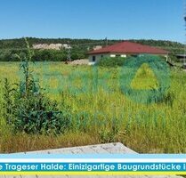 Bauträgerfreie Braugrundstück vor der Kulisse der Trageser Halde - Kitzscher / Thierbach