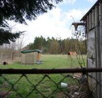 Hauptstadtmakler-Geräumiges Haus mit Pool und großem Grundstück - Bliesdorf / Vevais