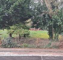 Auf den Höhen von Traben - 66.000,00 EUR Kaufpreis, ca.  0,00 m² in Traben-Trarbach-Traben (PLZ: 56841)
