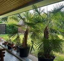 Bungalow mit Prachtgarten - 750.000,00&nbsp;EUR Kaufpreis, ca.&nbsp; 168,00&nbsp;m&sup2;&nbsp;Wohnfl&auml;che in Karlsruhe (PLZ: 76228) Palmbach