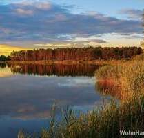 Zerpenschleuse - Wald, Wasser - pure Natur! - Wandlitz