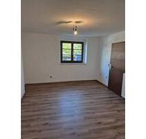 Charmante 1-Zimmer-Erdgeschosswohnung mit 46 m² - Torgau