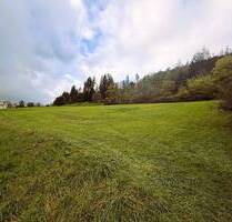 WIESE Nähe Weißenburg OT Niederhofen Gänswirtshaus - Weißenburg Oberhochstatt