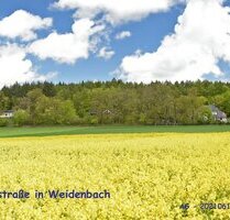 Baugrundstück im exklusiven Landhaus-Wohngebiet - Weidenbach