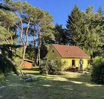 Wohnen im Küstenwald - nur wenige Schritte bis zum Strand - Dierhagen Neuhaus