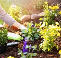 Für Gartenfreunde: sonnige 3-Zimmer-Wohnung mit Terrasse und großer Gartenfläche - Oppenweiler