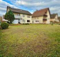 ***Attraktives Mehrfamilienhaus in Waldrandnähe*** - Viernheim