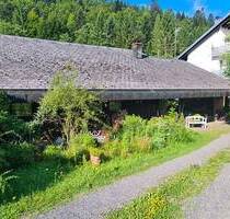 Charmantes Schwarzwaldhaus in Todtmoos