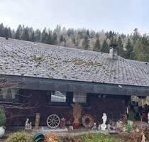 Charmantes Schwarzwaldhaus in Todtmoos