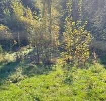 Ihr Wohntraum beginnt hier! - 105.000,00 EUR Kaufpreis, ca.  0,00 m² in Freital (PLZ: 01705) Weißig