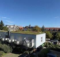 ** KAUFZUSAGE ** vermietetes 1-Zimmer-Appartement in Seepark-Nähe - Freiburg Betzenhausen