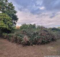 Bauplatz in sehr beliebter Wohnlage von MA-Seckenheim - 0-4004 - Mannheim
