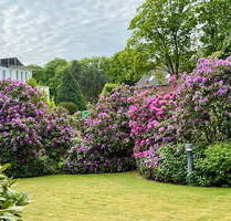 Erdgeschoßwohnung, sonnige Terrasse, Einbauküche, Tiefgarage, gute Lage in Blankenese - Hamburg