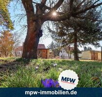 Nägel mit Köpfen machen - Hammergrundstück in Mahlsdorf - Berlin