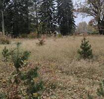 Großzügiges Baugrundstück in Heidesee: Ihr Traum vom naturnahen Wohnen nahe Berlin - Heidesee OT Wolzig