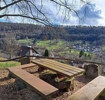 Sonniger Traumplatz für Dein Häuschen dem Land im Pfälzerwald - Elmstein Iggelbach