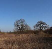 Attraktives Gewerbegrundstück in Schleswig-St. Jürgen zu verkaufen! Ihr Partner: OTTO STÖBEN!