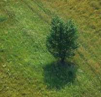 Bad Dürrheim, Baugrundstück 602 qm