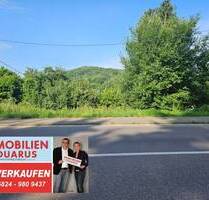 Gemischte Baufläche, Wohnen und oder Gewerbe, Saarbrücker Str. in Ottweiler zu verkaufen