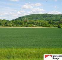 Gepflegter Resthof mit Stall, Scheune und Panoramablick über Wiesen und Felder - Rinteln