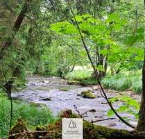 Naturnaher Wald am Flusslauf - strukturreich und schön zu bewirtschaften - Schönberg Kirchberg