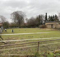 Baulücke für Einfamilienhaus - 85.000,00 EUR Kaufpreis, ca.  0,00 m² in Petershagen (PLZ: 32469) Frille