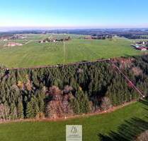 Schöner FICHTENALTBESTAND in ruhiger Lage des Ostallgäus - Eggenthal Völken