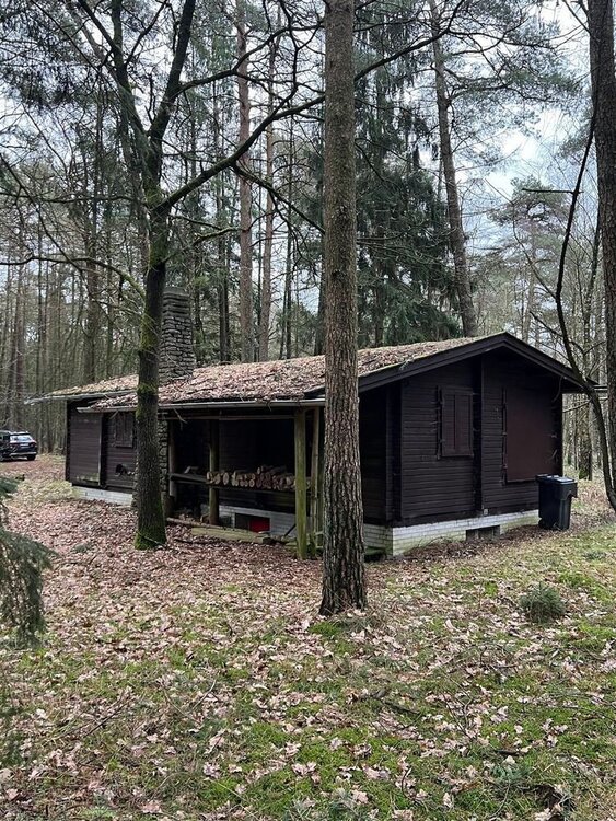 Wochenendhaus mit 8.922m² Waldgrundstück - Tostedt Todtglüsingen