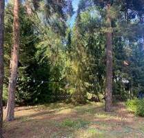 Grundstück mit großem Baufeld für eine Wohnfläche bis zu ca. 251 m² Wohnfläche - Kleinmachnow